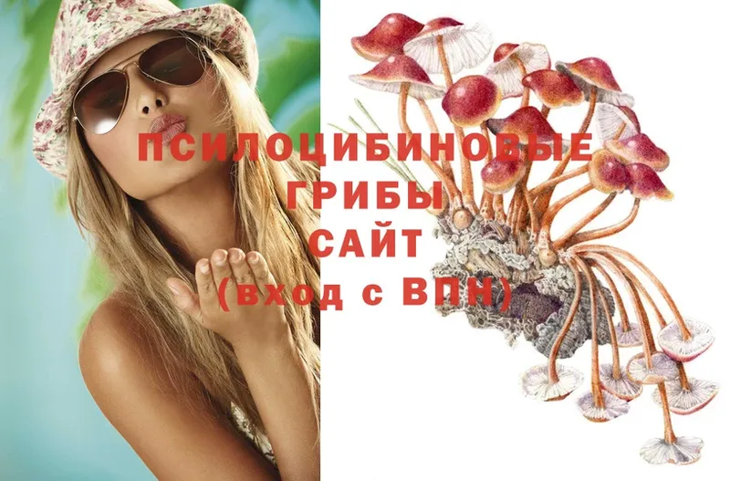 Галлюциногенные грибы Psilocybine cubensis  Вятские Поляны 